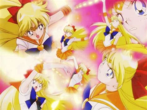 Sailor Venus Sailor Moon Wallpaper 23588409 Fanpop