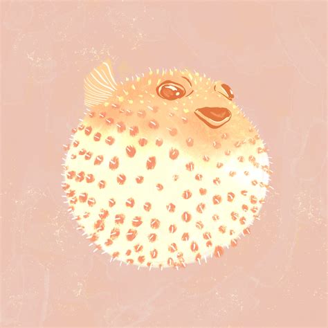 Blowfish Square Wallpaper Trendy And Modern Happywall
