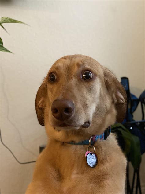 Track elected officials, research health conditions, and find news you can use in politics, business, health. He is all of us reading coronavirus news articles : WhatsWrongWithYourDog