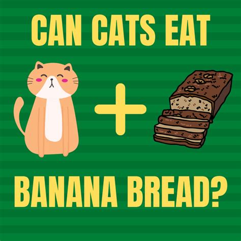 Can Cats Eat Banana Bread We Got The Answer