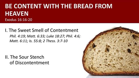 Be Content With The Bread From Heaven Exodus 1616 20 88 Exodus