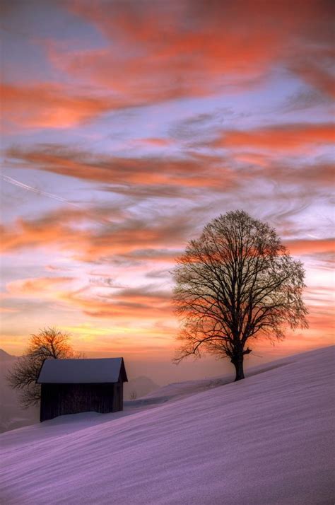 31 Best Winter Sunsets Images On Pinterest Winter Sunset Sunrises And Winter Scenes