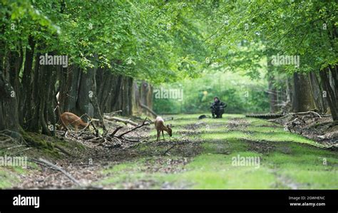 Photographer At Lookout Stock Photo Alamy