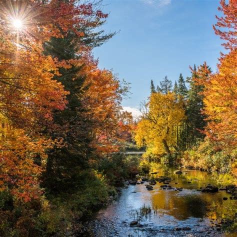 The Perfect Fall Foliage Road Trip Is In Western Maine Fall Foliage