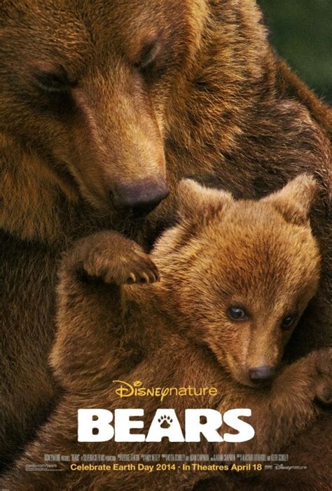 Niedźwiedzie 2014 Filmweb