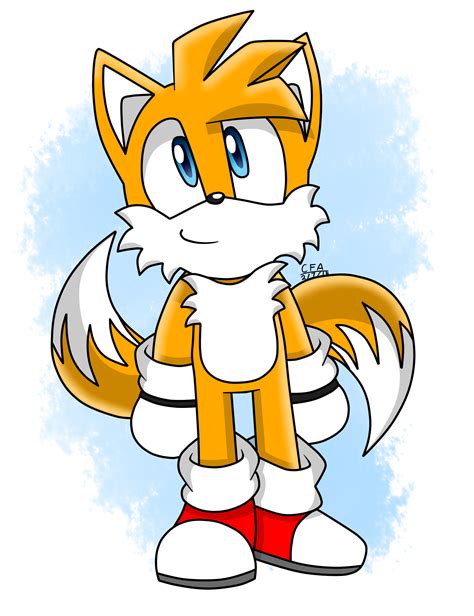 Tails The Fox By Thecartoonfan On Deviantart