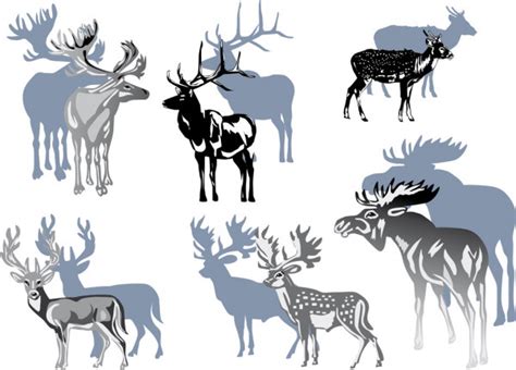 Set Of Black Forest Deer Silhouettes Suitable For Logo Emblem