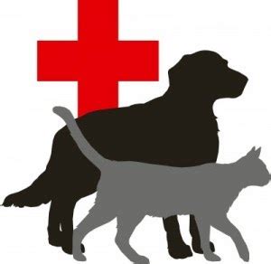 There are many companies with manydifferent. If They Could Talk: Pet Health Insurance 101