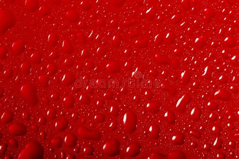Red Drops Of Water Stock Image Image Of Splash Nature 42419431