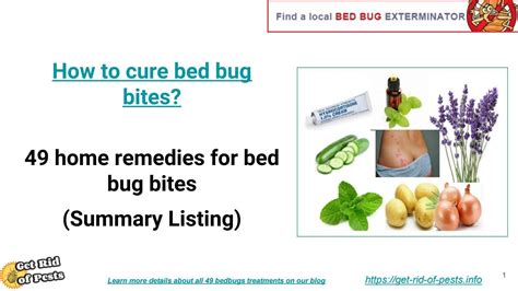 Summary 49 Home Remedies For Bed Bug Bites Bed Bug Remedies Home