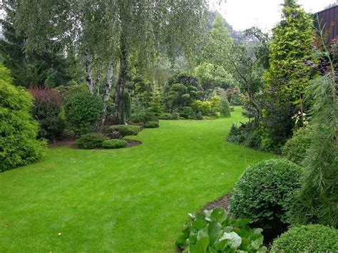 We keep it effortless to grant important occasion they'll always remember. Mixed border, dwarf conifers | Gardening | Pinterest ...