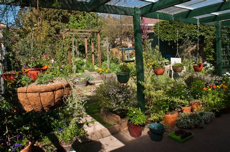 Check spelling or type a new query. Cottage garden crammed with delights | Canberra CityNews