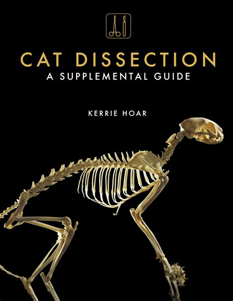 Cat Dissection A Supplemental Guide • Bluedoor Publishing