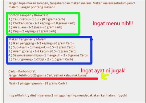 Fasa diet atkins fasa 1 (induksi) pengambilan kurang daripada 20 gram karbohidrat sehari selama 2 minggu. Atkins Diet For Beginner: Atkins Diet Fasa 1