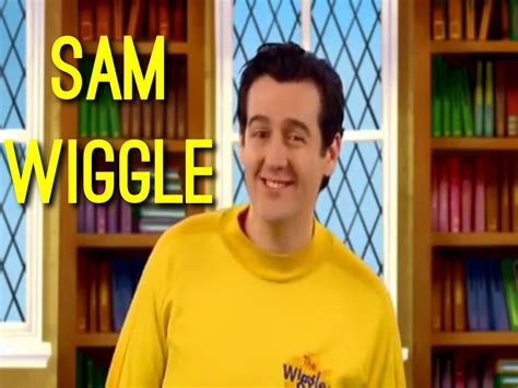 Sam Wiggles Dvd