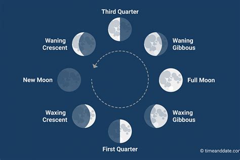 Moon Phases Explainedpng1 — Arena