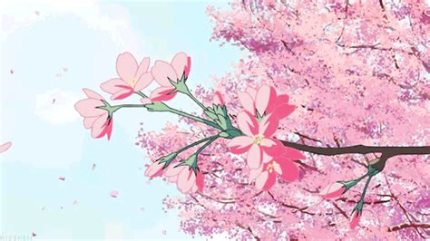 Sakura Trees Anime Aesthetic 10 Aesthetic Anime Sakura Wallpaper