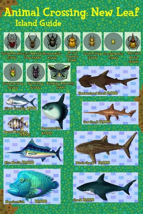 Animal Crossing New Leaf Fish Guide Yoiki Guide