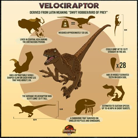 Velociraptor In 2020 Jurassic World Dinosaurs Jurassic Park World