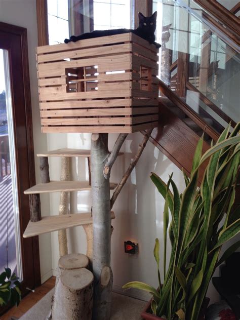 This tree house is custom made making it one of a kind. Cat tree made with tree limb and pallet slates and plywood ...