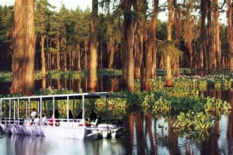 Oak Alley And Laura Plantation Plus Swamp Tour From New Orleans Triphobo