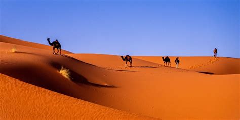Wildchina unveils unprecedented ancient silk road. The Nine Deserts In Africa: Facts, Photo, Maps & More ☀️