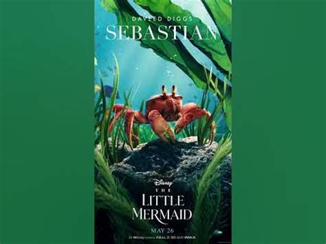 The Little Mermaid movie #thelittlemermaid #Ariel #notmyariel #Queen