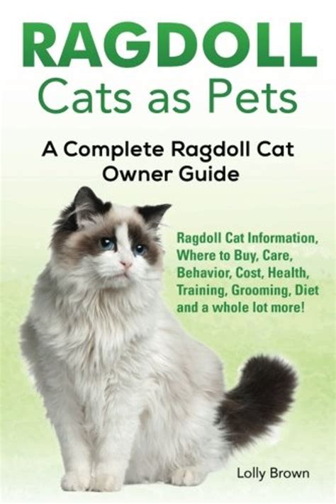 Ragdoll Cats As Pets Ragdoll Cat Information Where To Buy Care