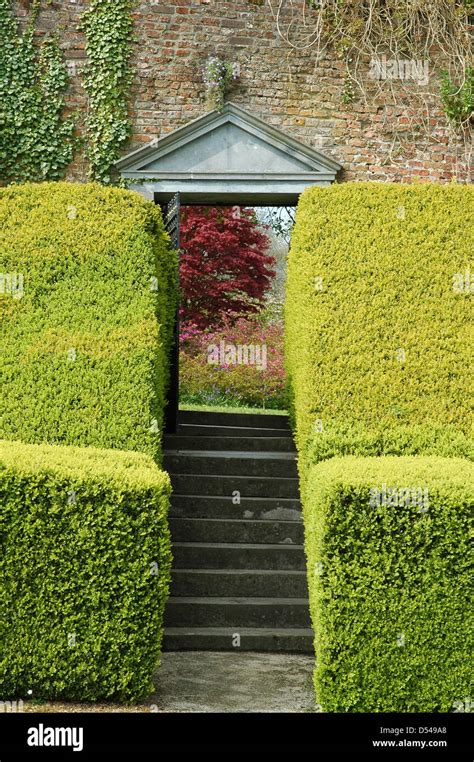 Hedge And Brick Wall High Resolution Stock Photography And Images Alamy