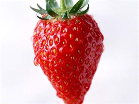 Wallpaper Food Red Fruit Strawberries Plant Berry Strawberry