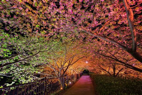 Spring Pathways Wallpapers Wallpaper Cave