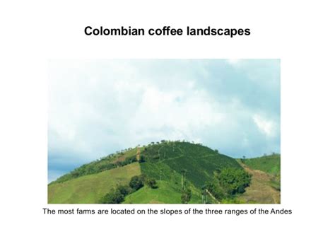 Colombian Coffee Production And Coffe Cultural Landscapes Of Colombia