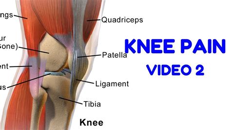 In this article, you'll find a list of different posterior knee pain symptoms and causes. Knee Pain Rehab 2 - CALF RAISES - YouTube
