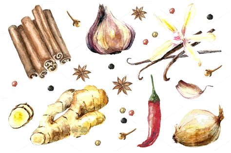 Herbs And Spices Watercolor Set Art Tutorials Watercolor