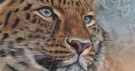 Wildartcapture Julia Ruffles Finished Amur Leopard Painting