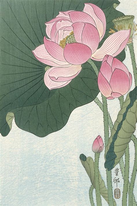 Flowering Lotus Flowers By Ohara Koson Lotus Flower Wall Art Etsy