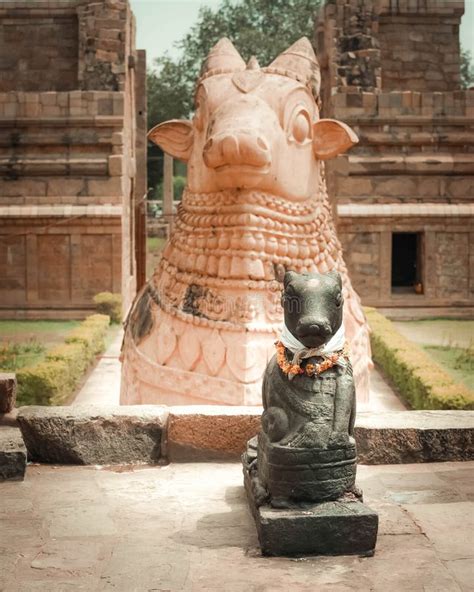 Statue Of Nandi Bull In Front Of Gangaikonda Cholapuram Temple In