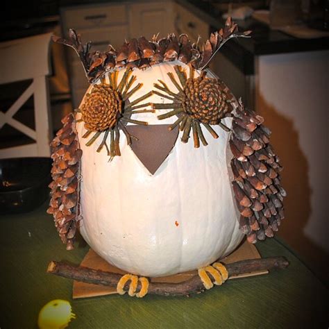 No Carve Pumpkin Decorating Easy Pumpkin Carving Owl Pumpkin Pumpkin