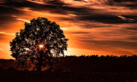 Foto And Bild Sunset Sonnenuntergang Baum Bilder Auf Fotocommunity