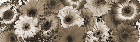 Panoramic Flowers Colors Sepia Wall Mural And Photo Wallpaper Photowall