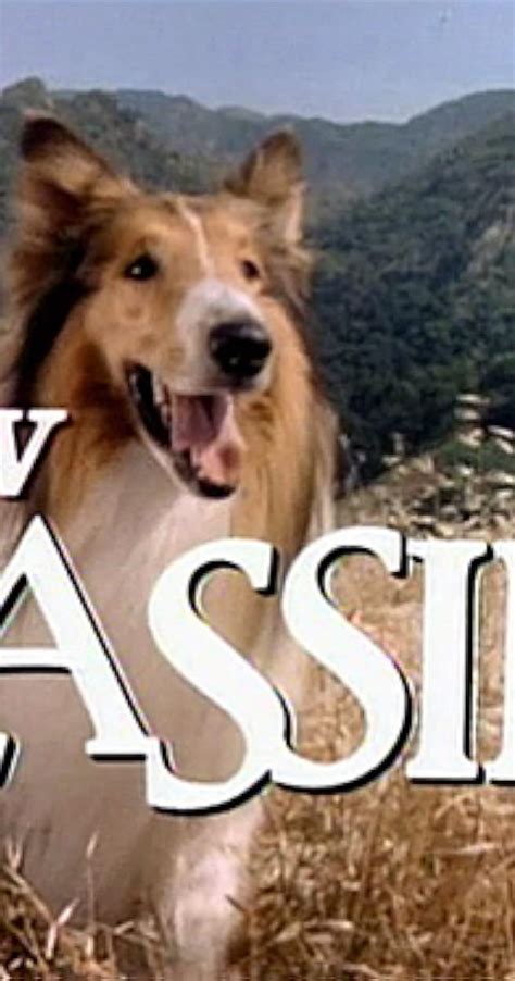 The New Lassie Tv Series 19891992 Connections Imdb