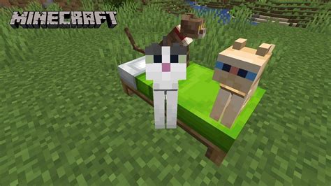 Minecraft All Cats