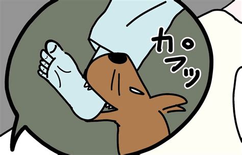 【漫画】 第19話：寝てる飼い主さんの足をカプ！鼻をゴシゴシされて怒るワンコが可愛い♡【ひばちくん】 Mofmo