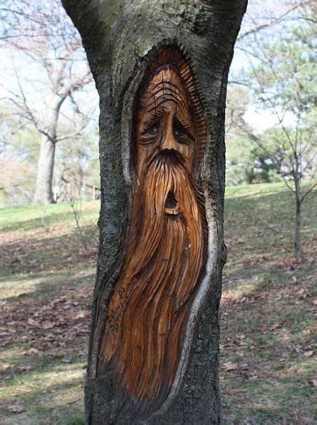 Tree Carvings Toronto Photos Parks High Park A Face Carved In