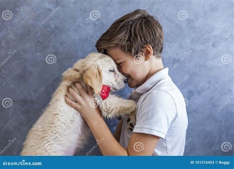 Teen Boy With Golden Retriever Stock Image Image Of Young Love