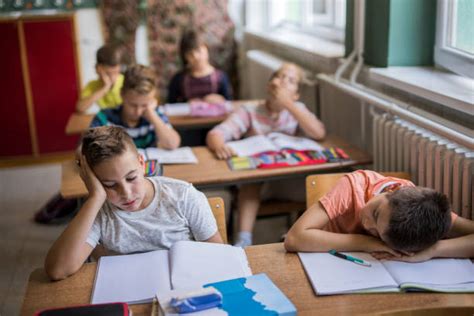 Sleeping In Class Stock Photos Pictures And Royalty Free Images Istock