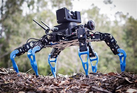 Csiro Is Building Autonomous Robots To Venture Deep Underground Create