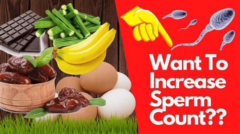 Top Foods To Increase Sperm Count How To Increase Sperm Count Naturally YouTube