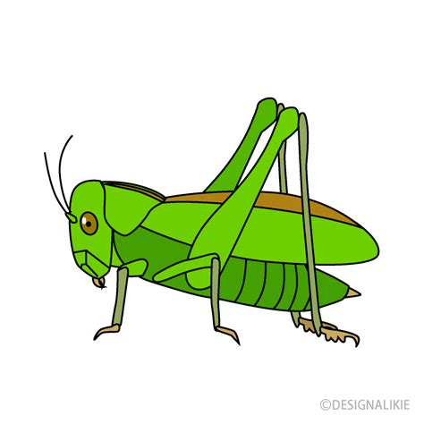 Clip Art Grasshopper