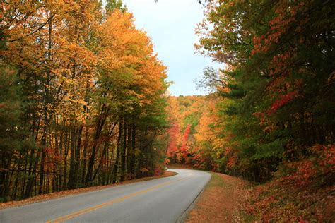 The Fall Colors Fall Colors Country Roads Photos Pictures